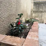 Ecrin Paisible *